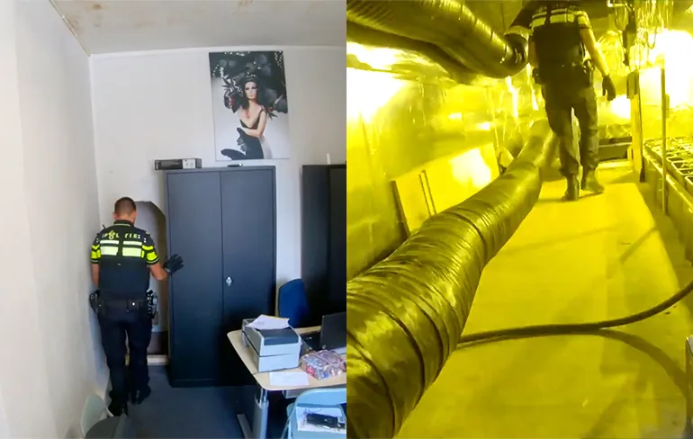 Rotterdamse Politie vindt hennepkwekerij aan einde van 20 meter lange tunnel