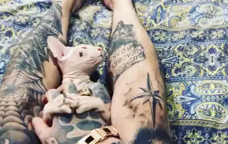 Russische Gangster Kat