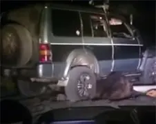 Russische jagers hebben een beer aangereden