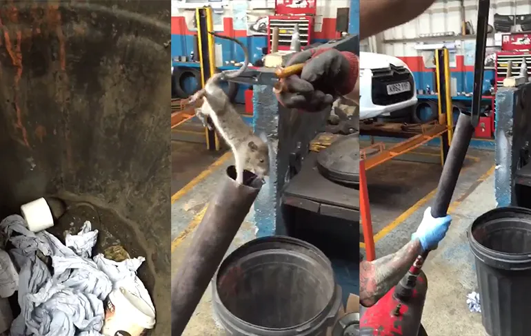 Sadistische monteurs laten rat vliegen