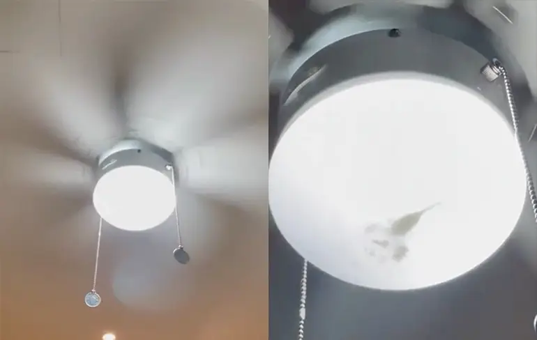 Schat, kun jij een schorpioen uit de lamp halen?