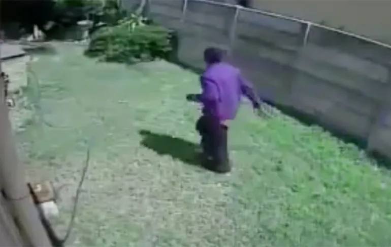 Schokkend: Inbreker bijna verslonden door hele grote hond!