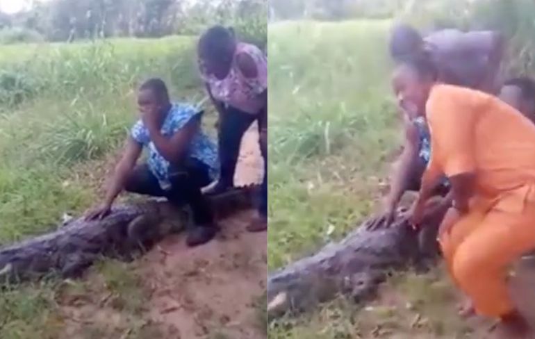 Selfie maken met krokodil in Ghana gaat niet zo goed