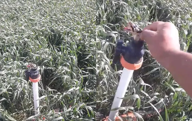 Slang zit vast in watersproeier