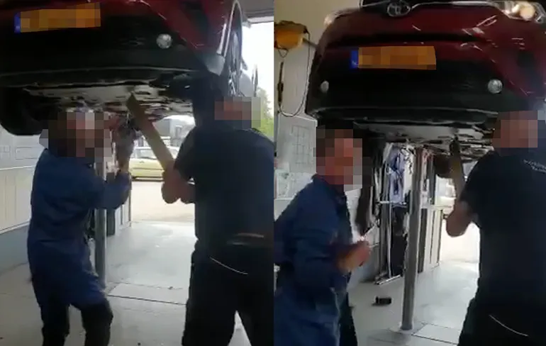 Steenmarter zit verstopt in auto