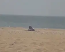 Stelletje neemt geen hotelkamer in Scheveningen