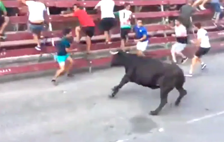 Stieren nemen deelnemer aan feesten van San Fermin te grazen