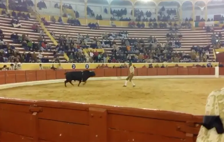 Stierenpester Fernando Quintela gedood in Portugal