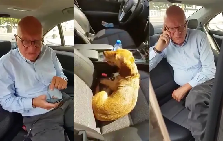 Taxichauffeur en klant hebben ruzie over hond in de auto