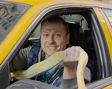 Taxichauffeur terroriseert klanten met slang