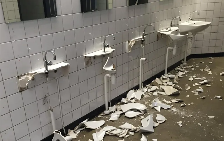 Terroristen uit Klazienaveen dezelfde vandalen als slopers dierentuin Emmen?