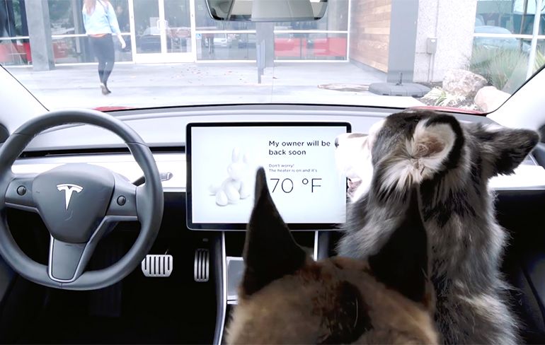 Tesla komt met zogenaamde Dog Mode