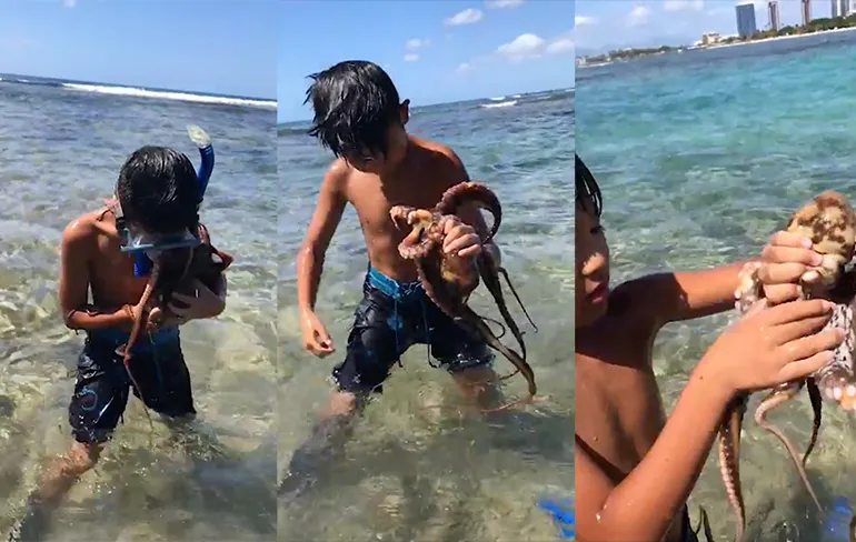 Tienjarig ventje killt octopus door hem te bijten