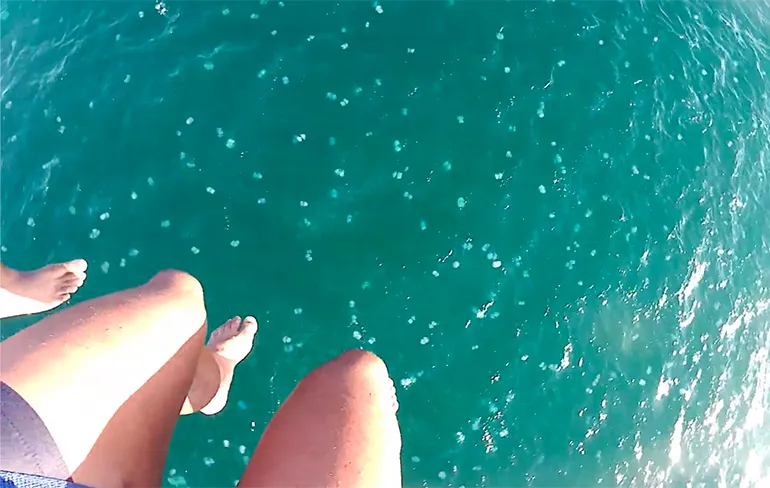 Toeristen die aan parachute achter boot hangen landen tussen de kwallen