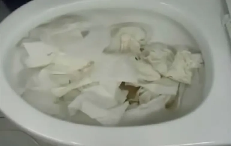 Toilet verstopt? Lossen ze in Zuid-Korea zo op!