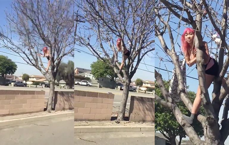 Topless vrouw zingt vanuit een boom in Huntington Beach