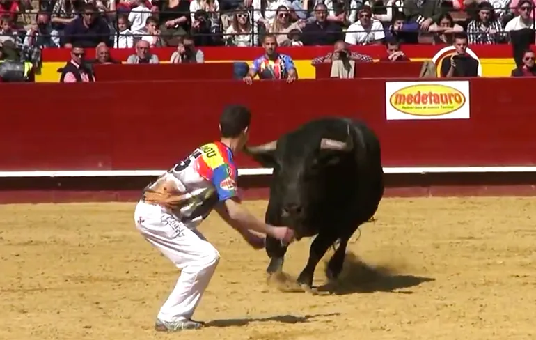 Torero's in Spaanse Valencia dagen stieren uit