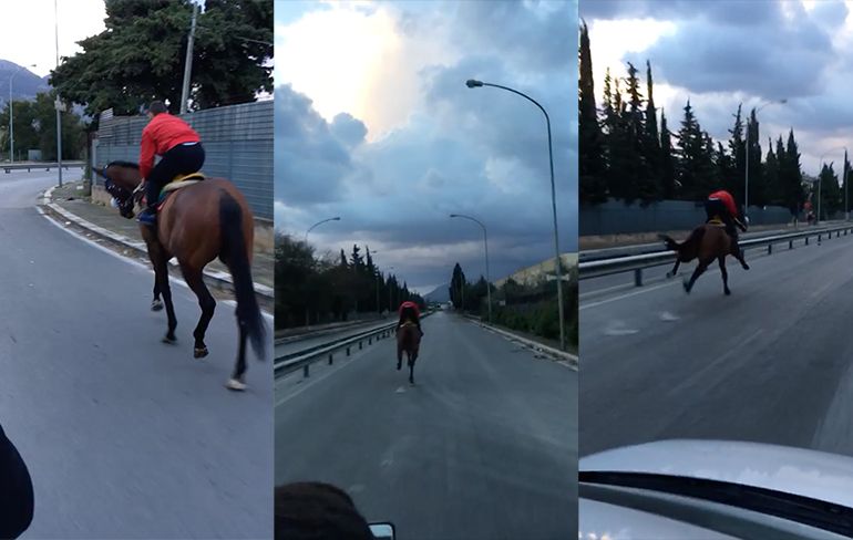 Training voor illegale race met paard in Palermo gaat mis