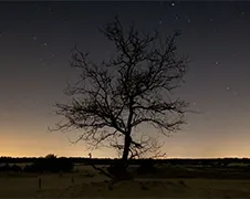 Trots op Nederland:  Timelapse Dutch Skies