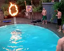 Trucje met brandende hoepel pakt best vet uit