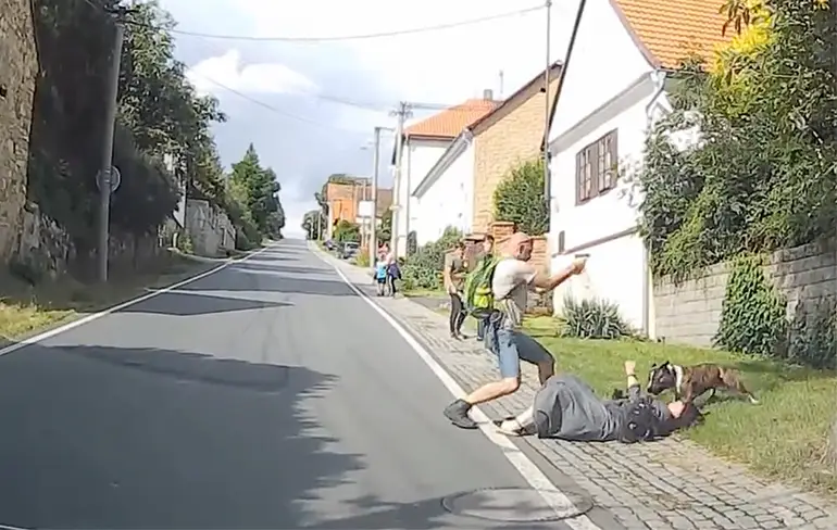 Tsjechische man schiet kogel af om moeder te redden van boze hond