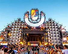 Ultra Music Festival Livestream 2014