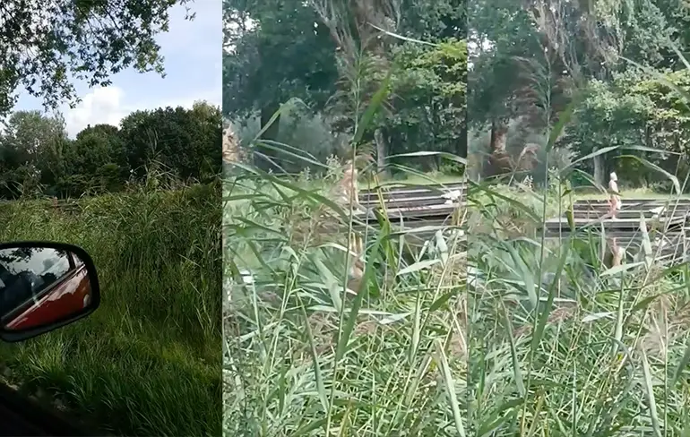 Vakantiegangers komen erachter dat er in Lieren wel degelijk iets anders is