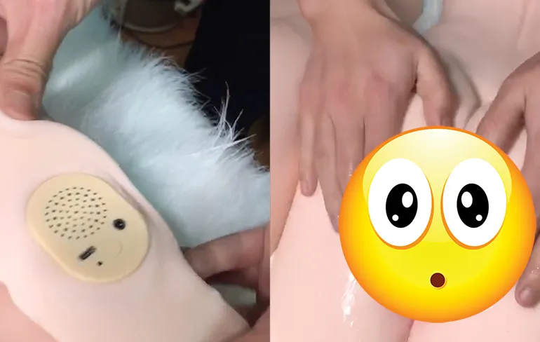 Vergeet je opblaasbare schaap, want uit dit speelgoed komt ook geluid