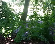 Verhit stelletje betrapt in het park bij Euromast
