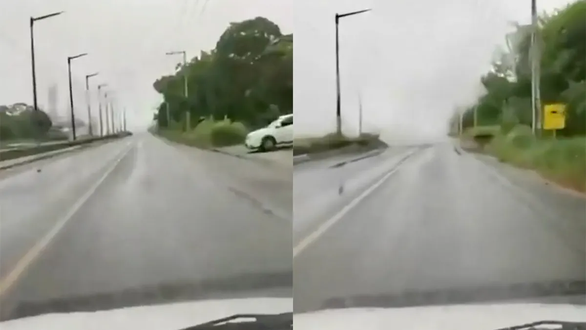 Verrassing in de mist voor filmende automobilist