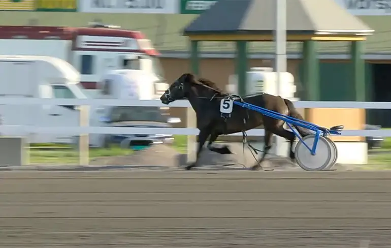 Verschrikkelijk ongeluk met racepaard in Noorwegen