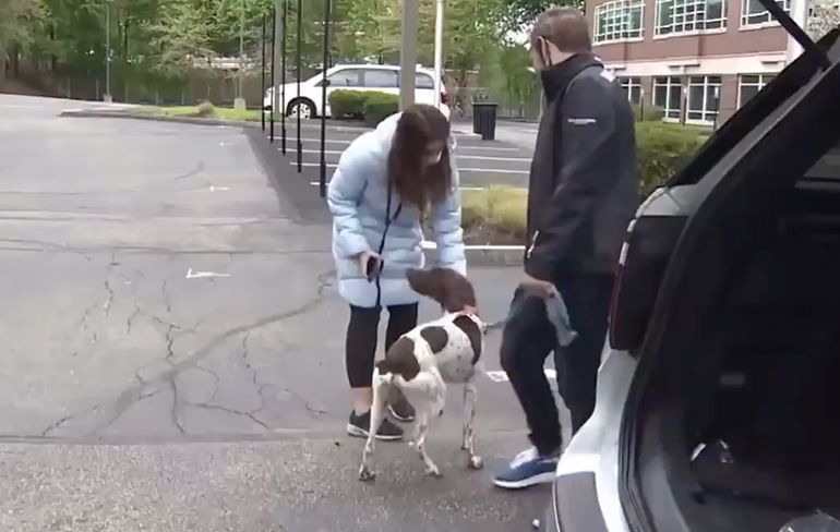 Verslaggeefster ziet dognapper lopen met gestolen hond