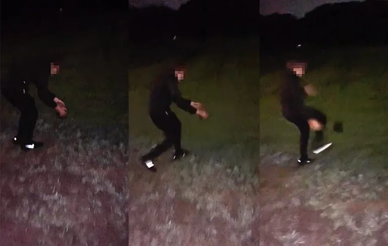 Video: Dronken idioten gebruiken jong egeltje als voetbal