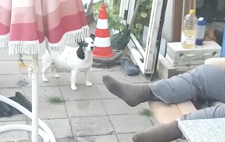 Video opgedoken van aftermath zelfmoord gasmasker aansluiten op gasleiding