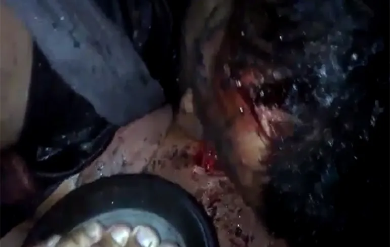 Video opgedoken van kannibalisme in gevangenis in Venezuela