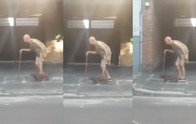 Viervoeter past tempo aan zijn oude baasje aan