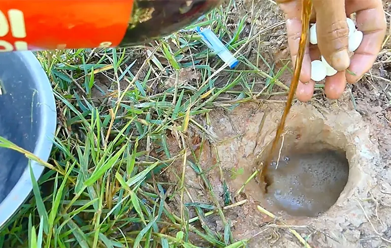 Vissen met Coca Cola en Mentos