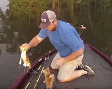Vissers in Alabama vangen achtergelaten tweeling poesjes