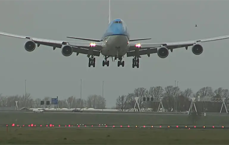 Vogeltje geeft een kusje aan een KLM Boeing