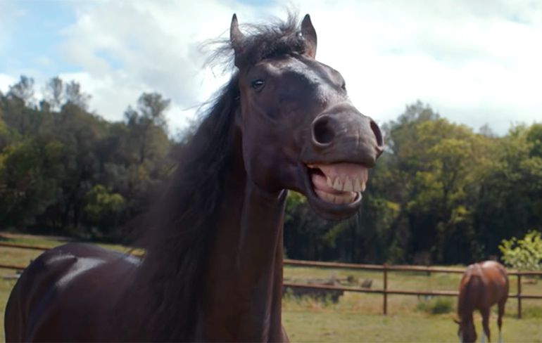 Volkswagen Duitsland heeft hilarische spot met lachende paarden