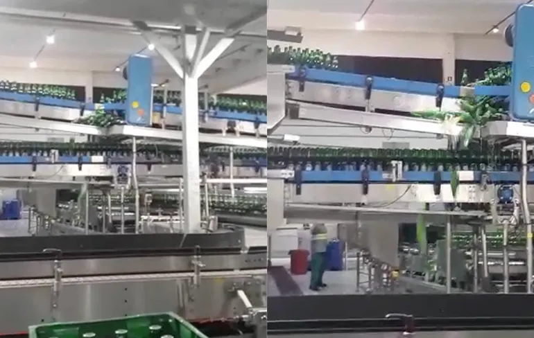 Voor sommige een nachtmerrie voor andere feestbeelden