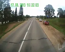 Vrachtwagen wacht niet op kudde geiten