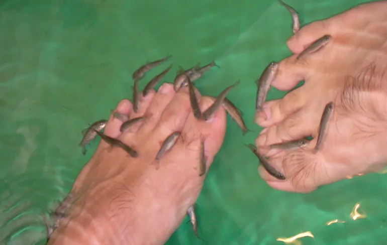 Vrouw geniet als knabbelvisjes dode vlees van haar vagina eten...