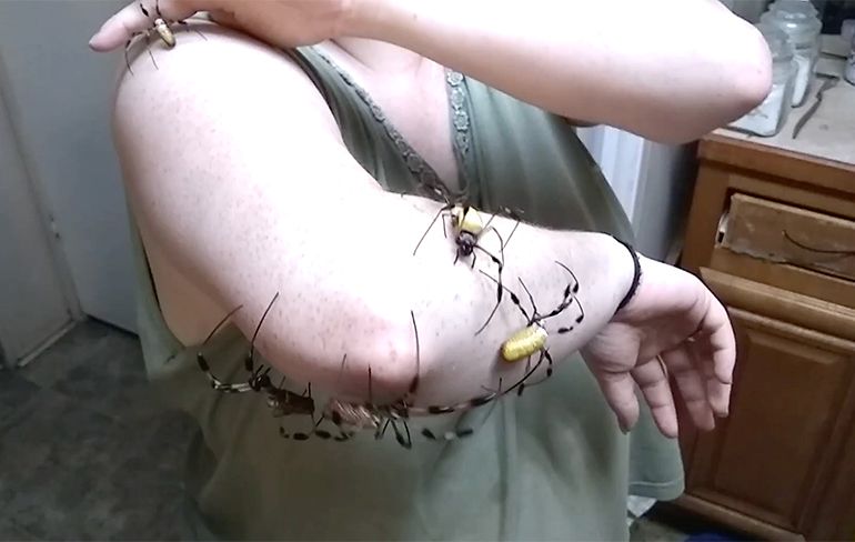 Vrouw laat vijf joekels van spinnen op één arm lopen