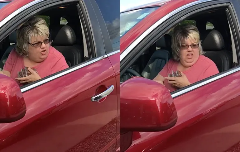 Vrouw schrikt zich het leplazarus van treinhoorn