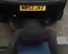 Waarom naar sportschool als je een auto hebt?