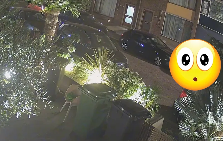 Wait what: Er loopt een heuse trekhaaknaaier rond in Nederland...