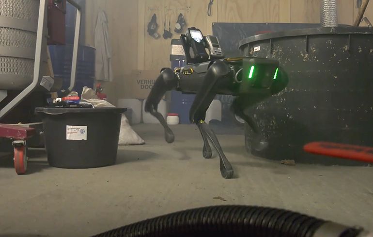 Wait What: Nederlandse politie heeft gewoon robothond Spot van Boston Dynamics