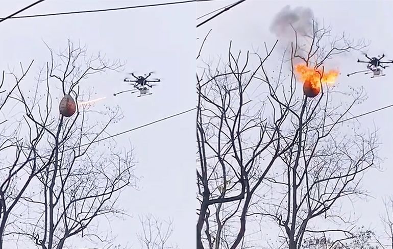 Wespennest verdelgen met drone met vlammenwerper