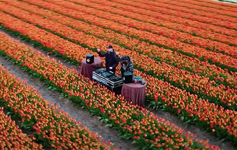 West Cartel Liveset op zo'n mooi Tulpenveld in de Noordoostpolder